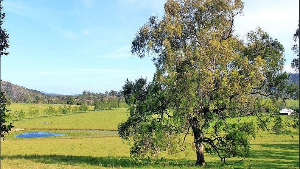 Bellmeadow Homestead | 1-7 Main St, Bellbrook NSW 2440, Australia | Phone: 0409 124 438