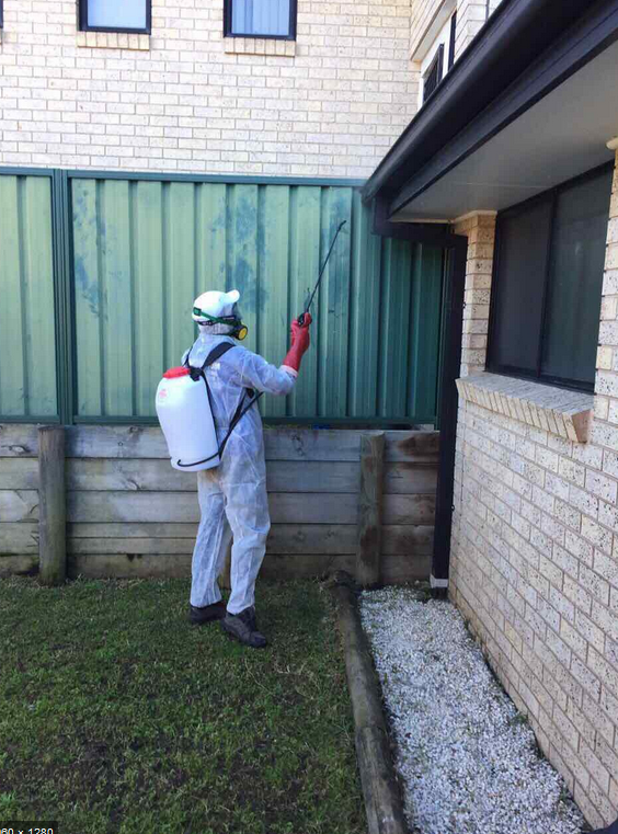 SATA Pest Control Bankstown | Bankstown NSW 2200, Australia | Phone: (02) 4058 3903