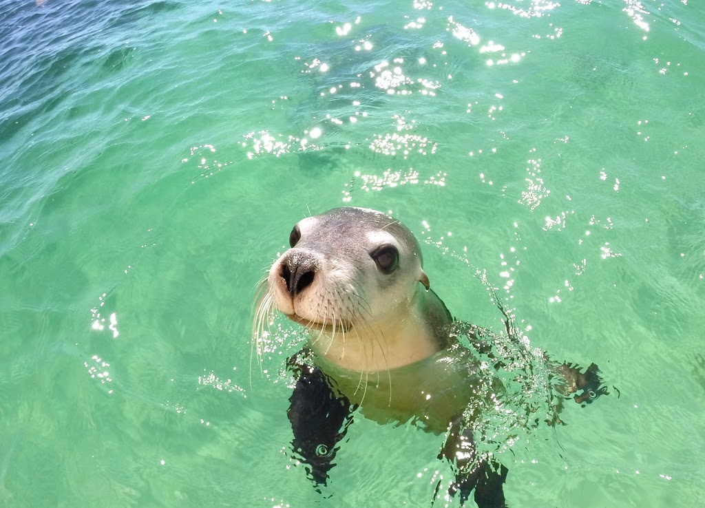 Turquoise Coast Visitor Centre | travel agency | 67 Bashford St, Jurien Bay WA 6516, Australia | 0896520870 OR +61 8 9652 0870