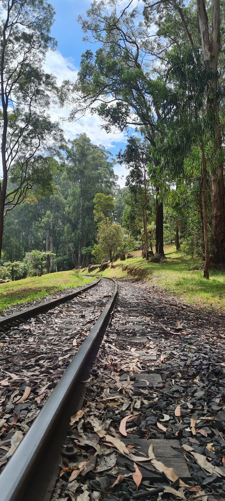 Emerald Tourist Railway Board | tourist attraction | 17 Kilvington Dr, Emerald VIC 3782, Australia | 0397570700 OR +61 3 9757 0700