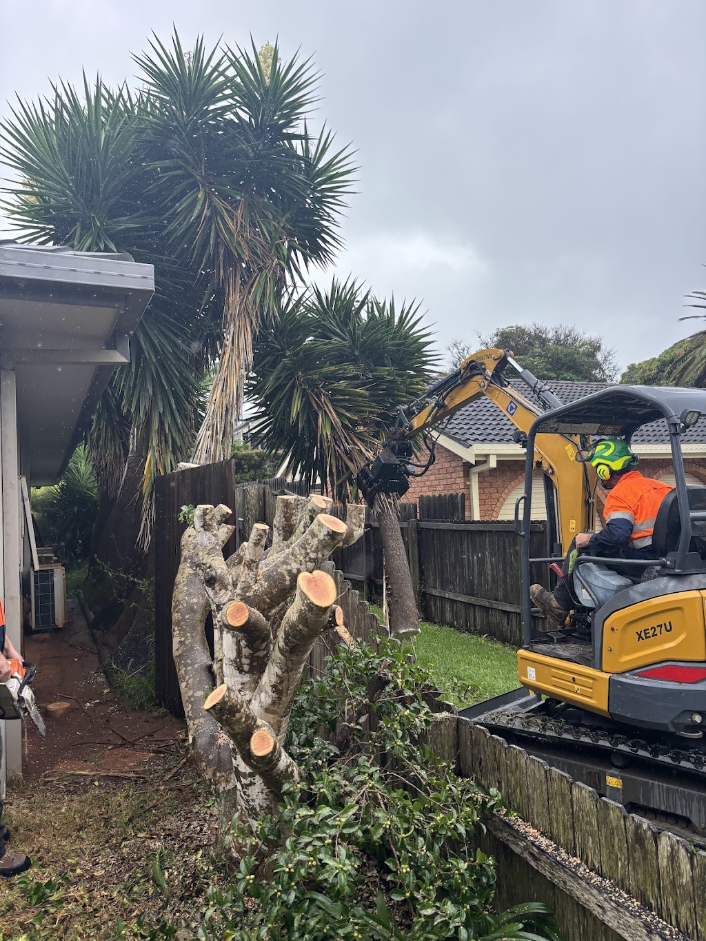 Espie Arb Tree Services | 286 Ocean Dr, Lakewood NSW 2443, Australia | Phone: 0423 329 111