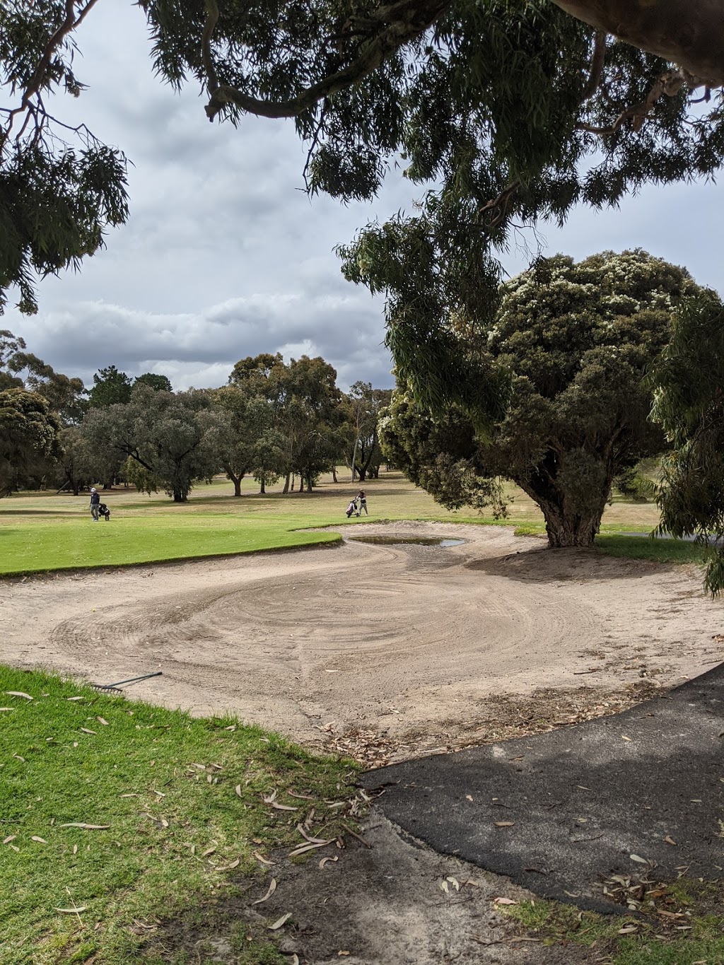 Brighton Public Golf Course | Dendy St, Brighton VIC 3186, Australia | Phone: (03) 9592 1388