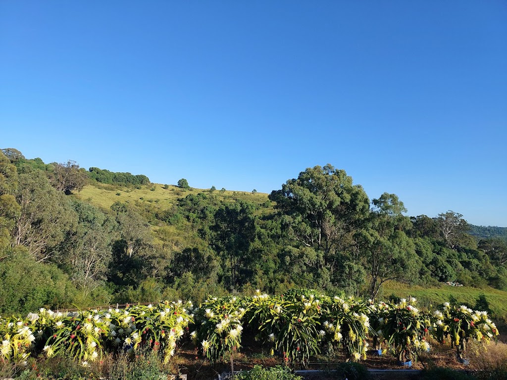 Tiny Farm Sydney | 195 Williamswood Rd, Mount Hunter NSW 2570, Australia | Phone: 0416 196 668