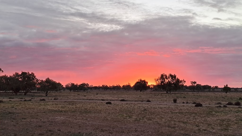 Allambie’s Camp | 299 Janbeth Rd, Bourke NSW 2840, Australia | Phone: 0423 597 320