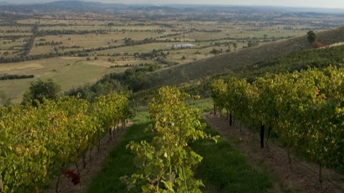 Fighting Gully Road | Vineyard: 203 Fighting Gully Road Winery:, Mayday Hills, 13 Kurrajong Way, Beechworth VIC 3747, Australia | Phone: 0407 261 373