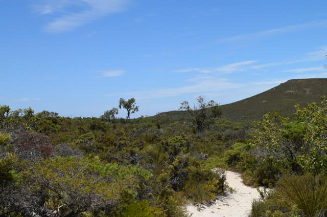 Lesueur National Park Loop Walk Trail | park | Hill River WA 6521, Australia