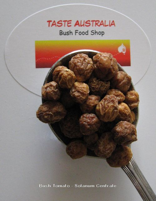 Taste Australia Bush Food Shop | store | Lady Penrhyn Ct, Mundoolun QLD 4285, Australia | 0428892217 OR +61 428 892 217