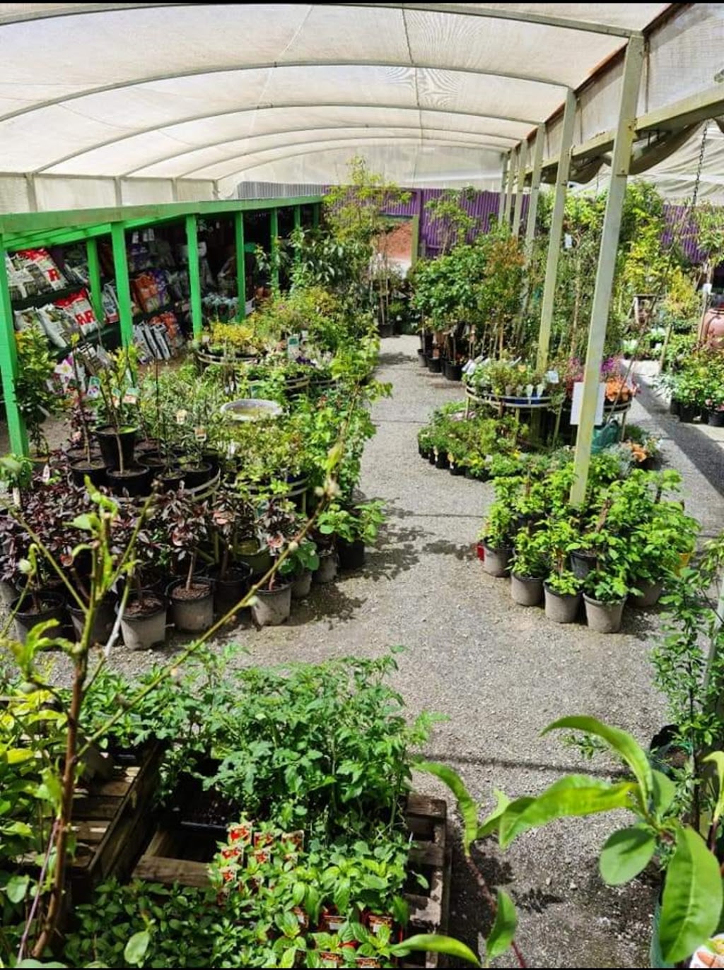 Treenas Garden Supplies | 57 Scotchtown Rd, Smithton TAS 7330, Australia | Phone: (03) 6452 2760