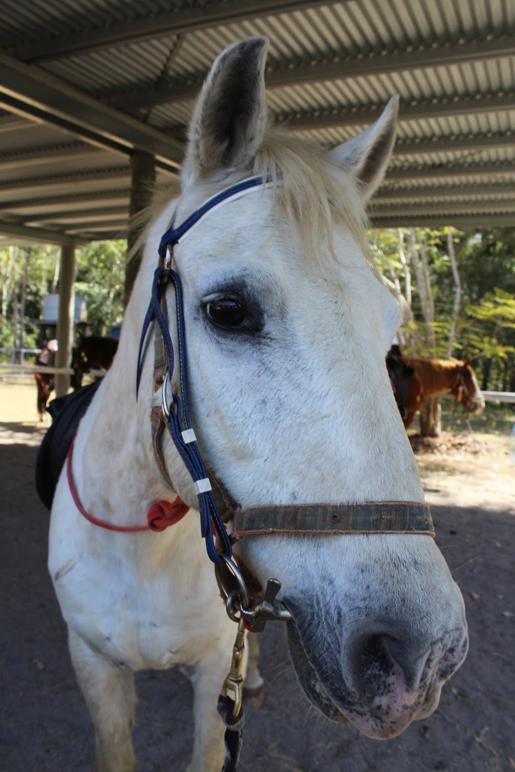 Gympie and District RDA |  | 580 Mary Valley Rd, Long Flat QLD 4570, Australia | 0407161246 OR +61 407 161 246