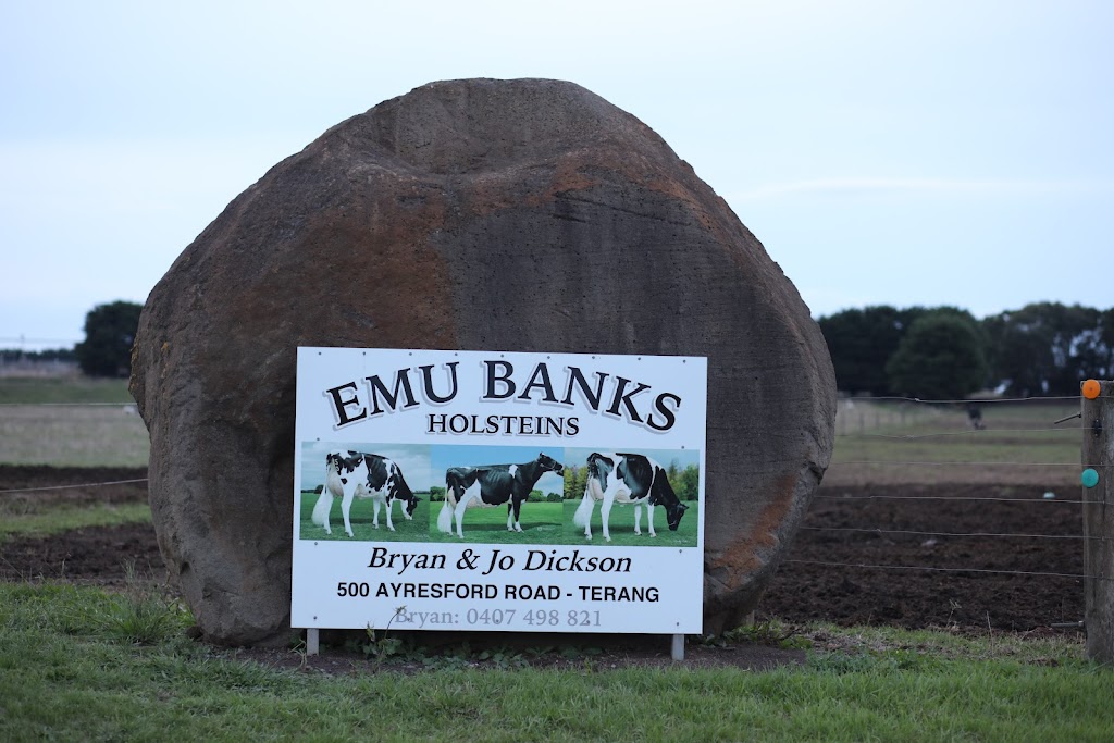 Emu Banks Holsteins & Jerseys |  | 500 Ayresford Rd, Garvoc VIC 3265, Australia | 0407498821 OR +61 407 498 821