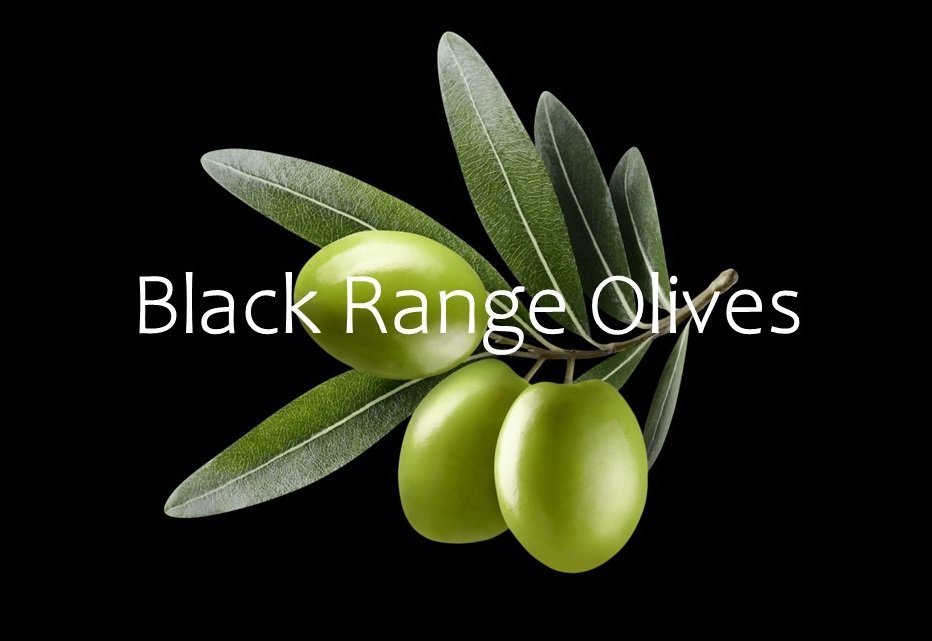 Black Range Olives | 995 Whanregarwen Rd, Whanregarwen VIC 3714, Australia | Phone: 0422 414 097