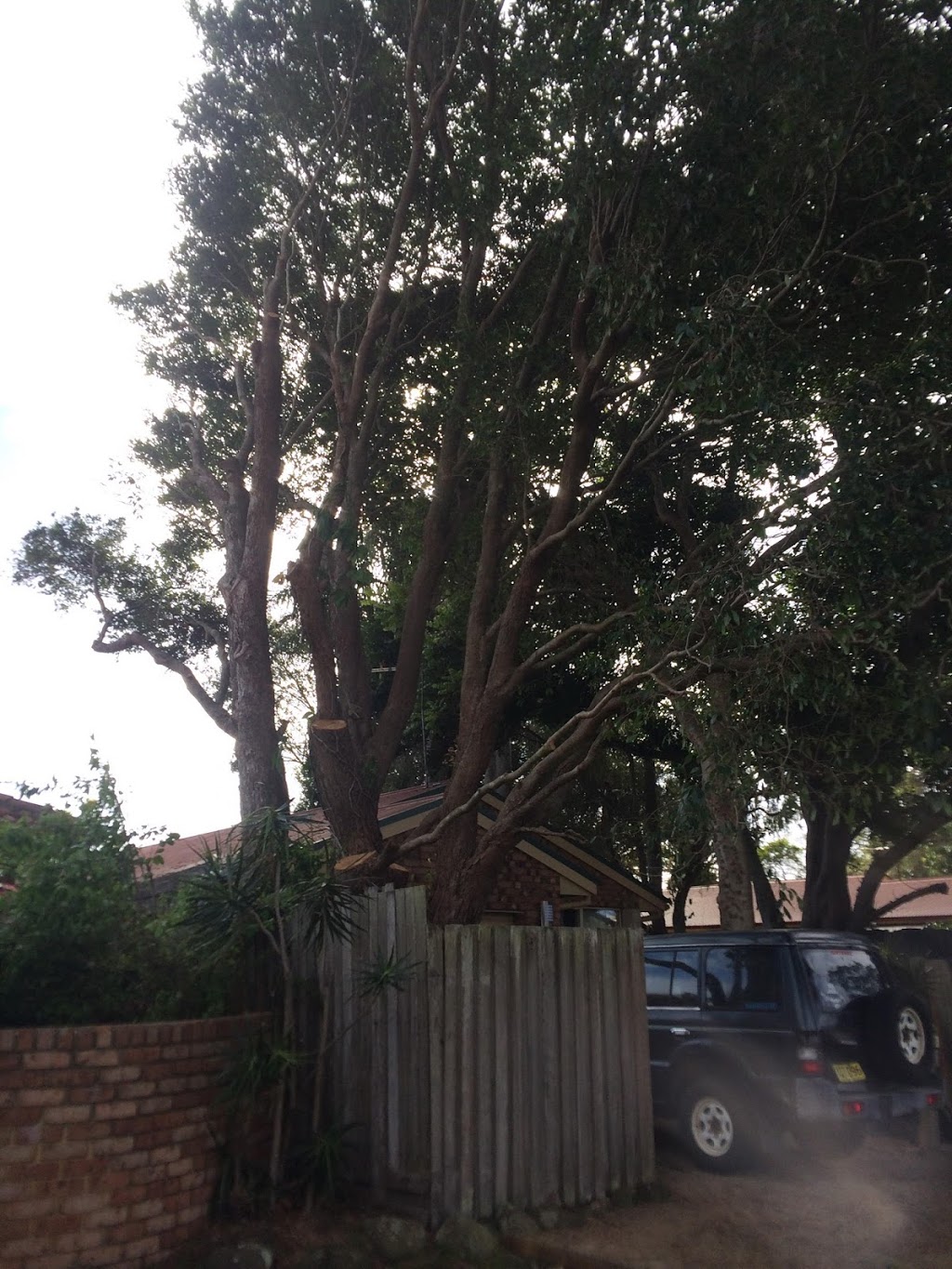 Lennox Head Tree Care |  | 232 N Creek Rd, Lennox Head NSW 2478, Australia | 0401399551 OR +61 401 399 551