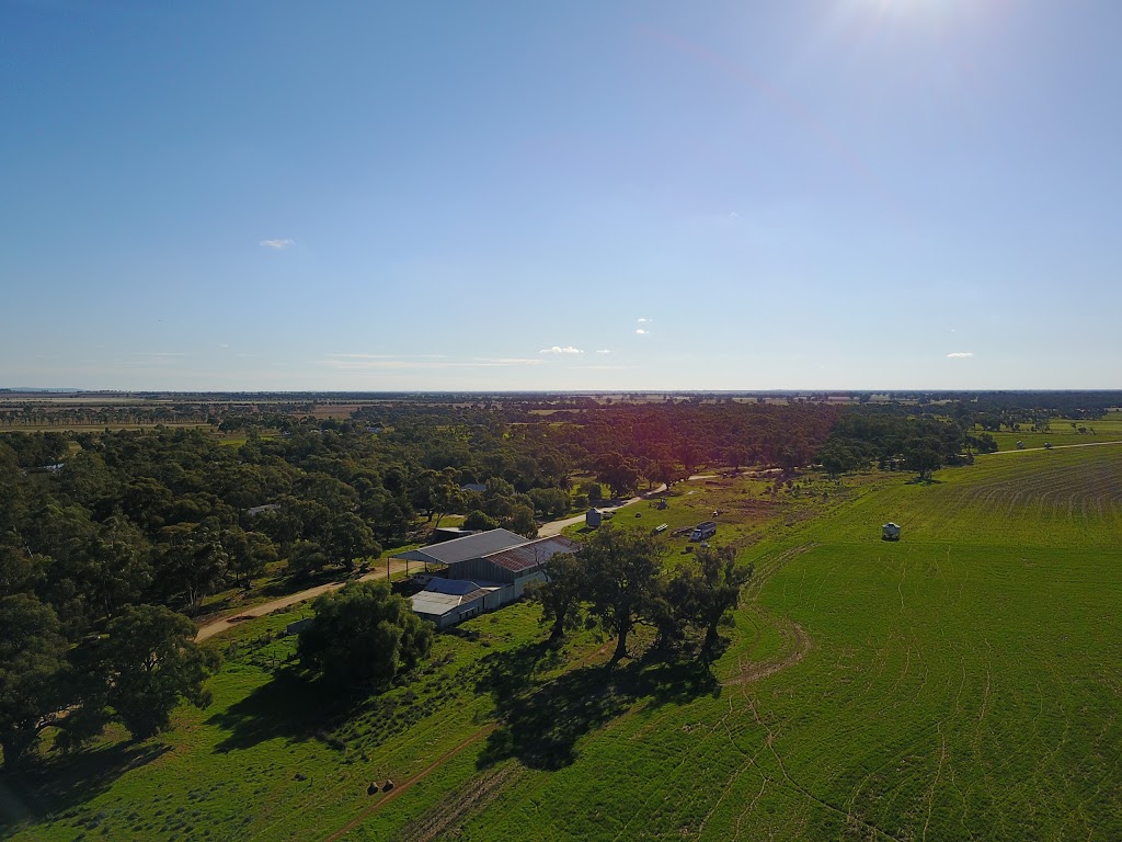 Cathcart Farm | Fernihurst VIC 3518, Australia | Phone: (03) 5494 7324