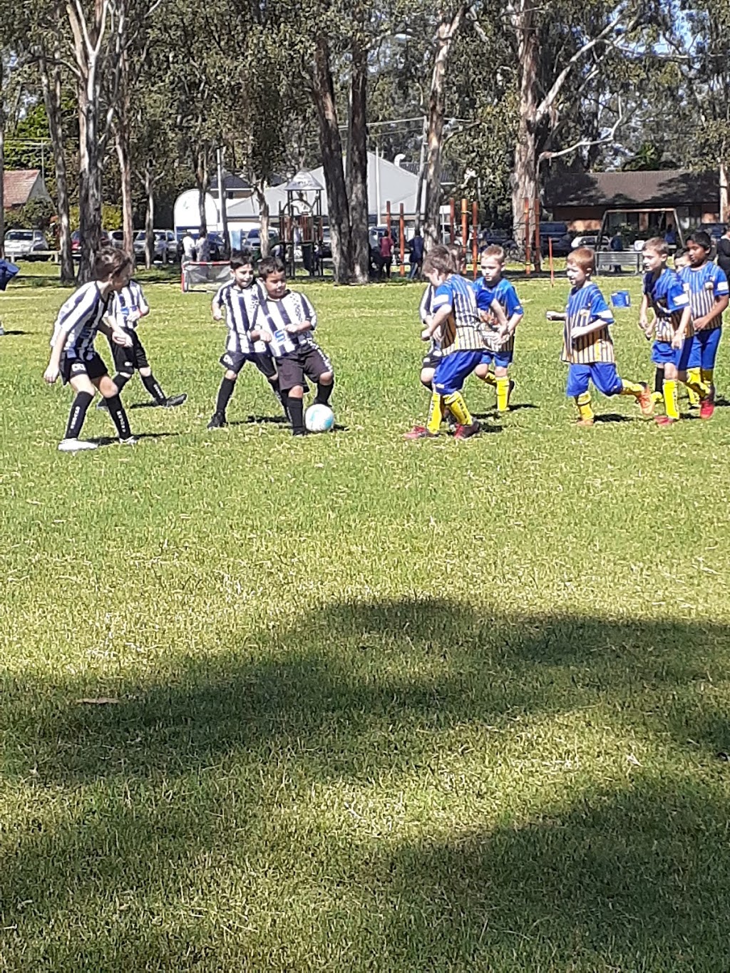 Ingleburn Eagles Soccer Club | Macquarie Fields Park, Fourth Ave, Macquarie Fields NSW 2564, Australia | Phone: 0417 733 220