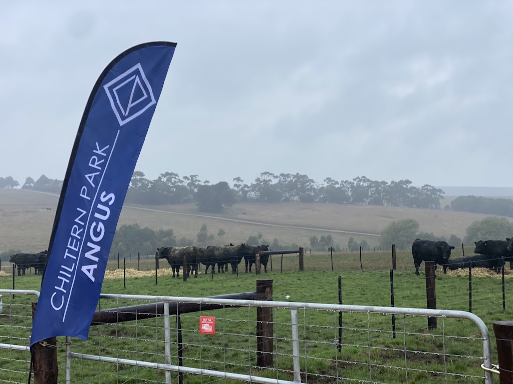 Chiltern Park Angus | 565 MacArthur-Penshurst Rd, Macarthur VIC 3286, Australia | Phone: 0459 149 280