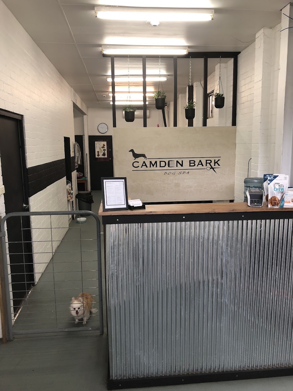 Camden bark dog spa | 14 Mitchell St, Camden NSW 2570, Australia | Phone: (02) 4602 6020