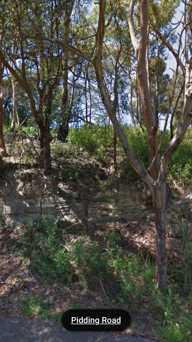 Pidding Park | park | 85/84 Cressy Rd, Ryde NSW 2112, Australia | 0299528222 OR +61 2 9952 8222