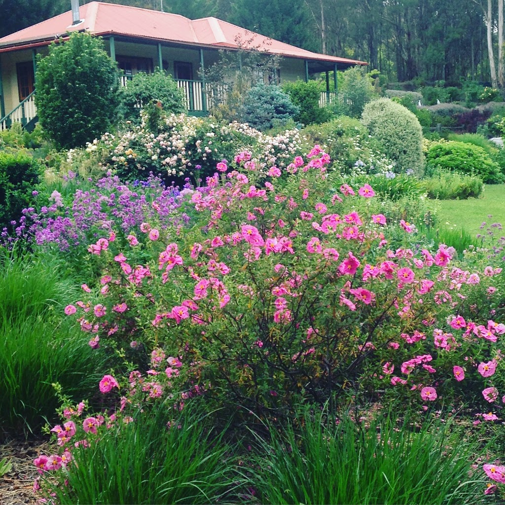 Wild Meadows Garden | 243A Coxs River Rd, Little Hartley NSW 2790, Australia | Phone: 0439 070 670