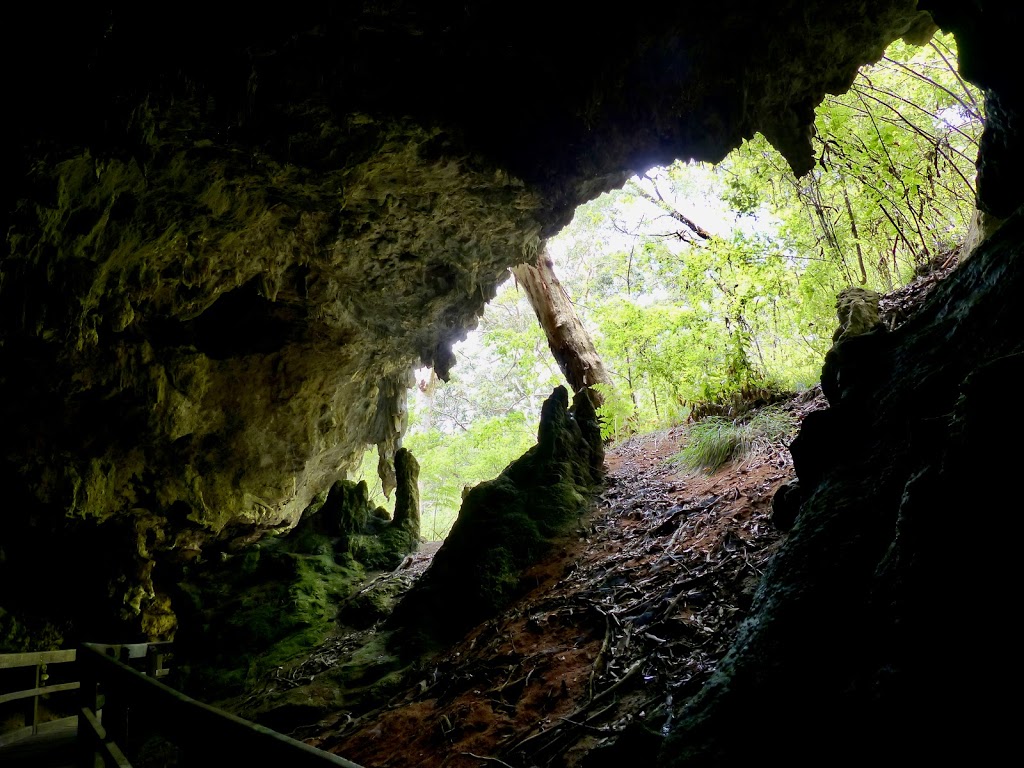 Lake Cave Mammoth Cave Nature Reserve | park | 40 Conto Rd, Boranup WA 6286, Australia