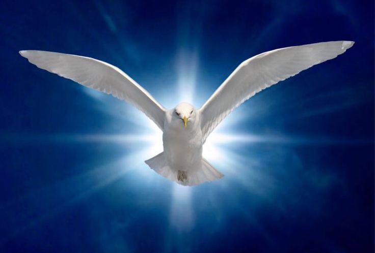 New Life Christian Ministries | 109 Moore St, Liverpool NSW 2170, Australia | Phone: (02) 9821 2439