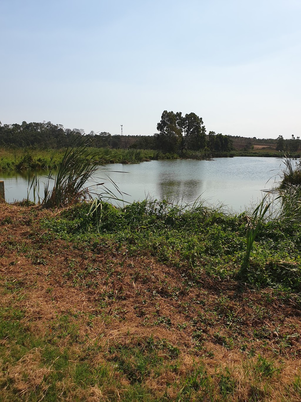 Macleod Morass Game Reserve | park | Bosworth Rd, Bairnsdale VIC 3875, Australia