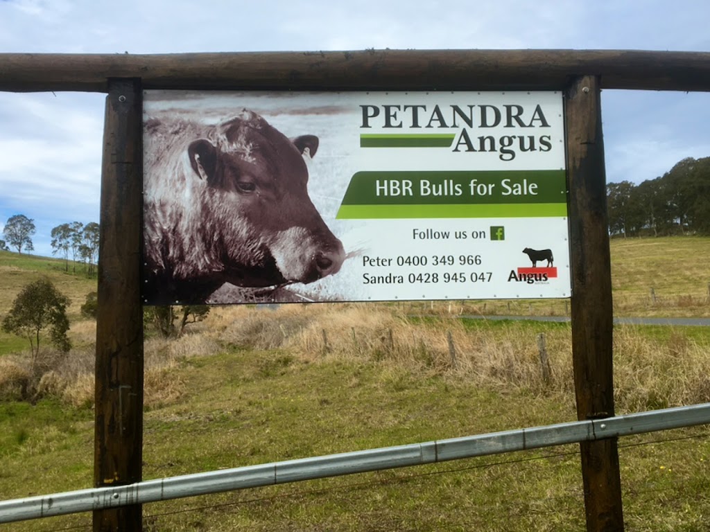 Petandra Angus | 622 The Bucketts Way, Stroud Road NSW 2415, Australia | Phone: 0400 349 966