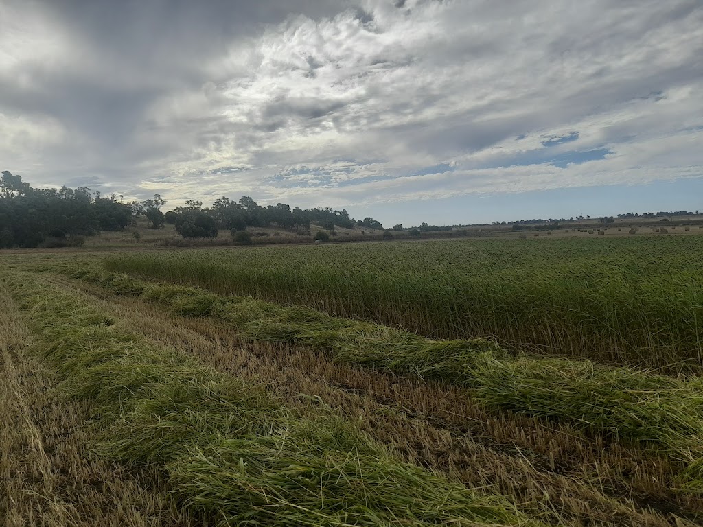 CK Agricultural | 11360 Warrego Hwy, Kingsthorpe QLD 4400, Australia | Phone: 0427 300 737