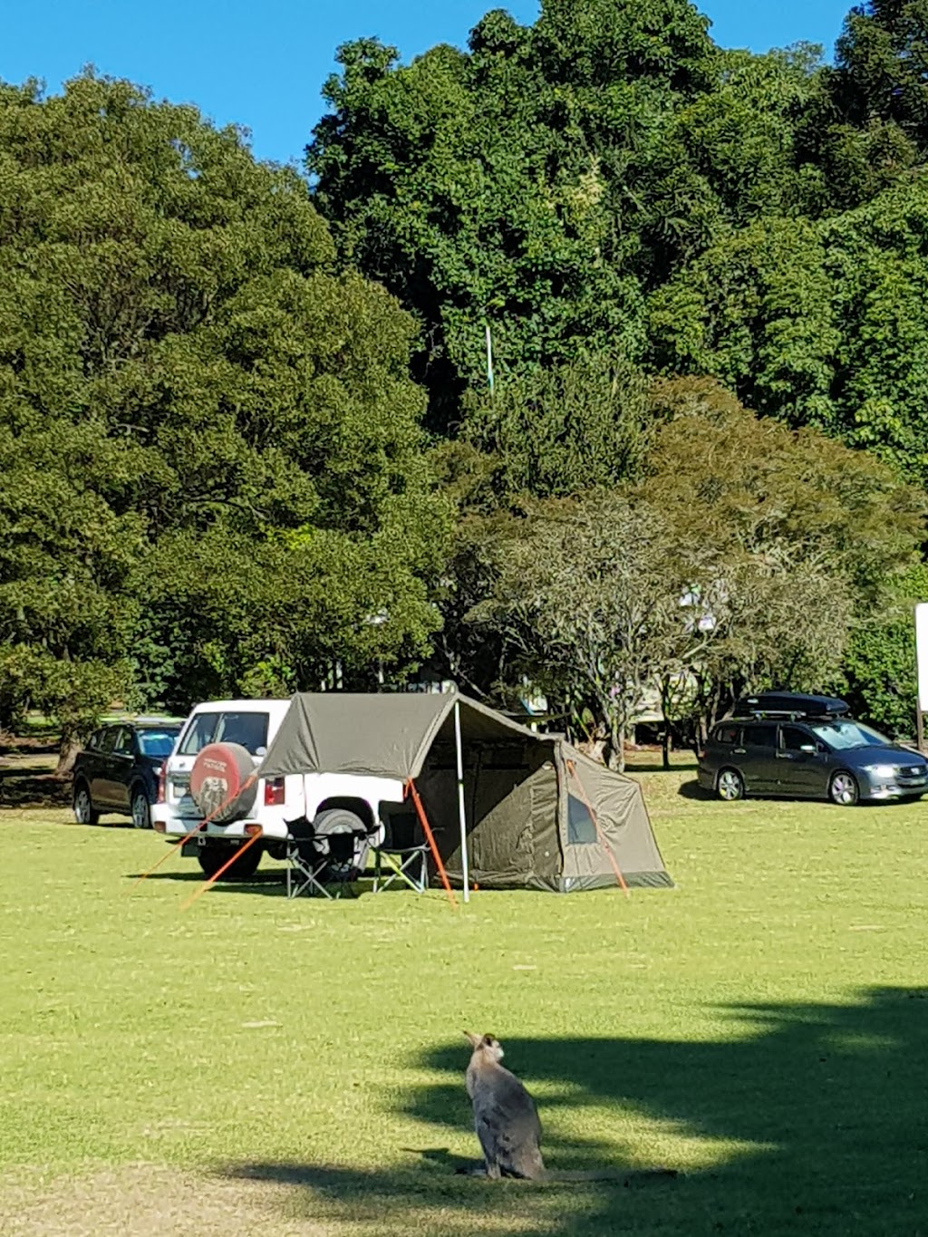 Dandabah camping area, Bunya Mountains National Park | park | Bunya Ave, Bunya Mountains QLD 4405, Australia