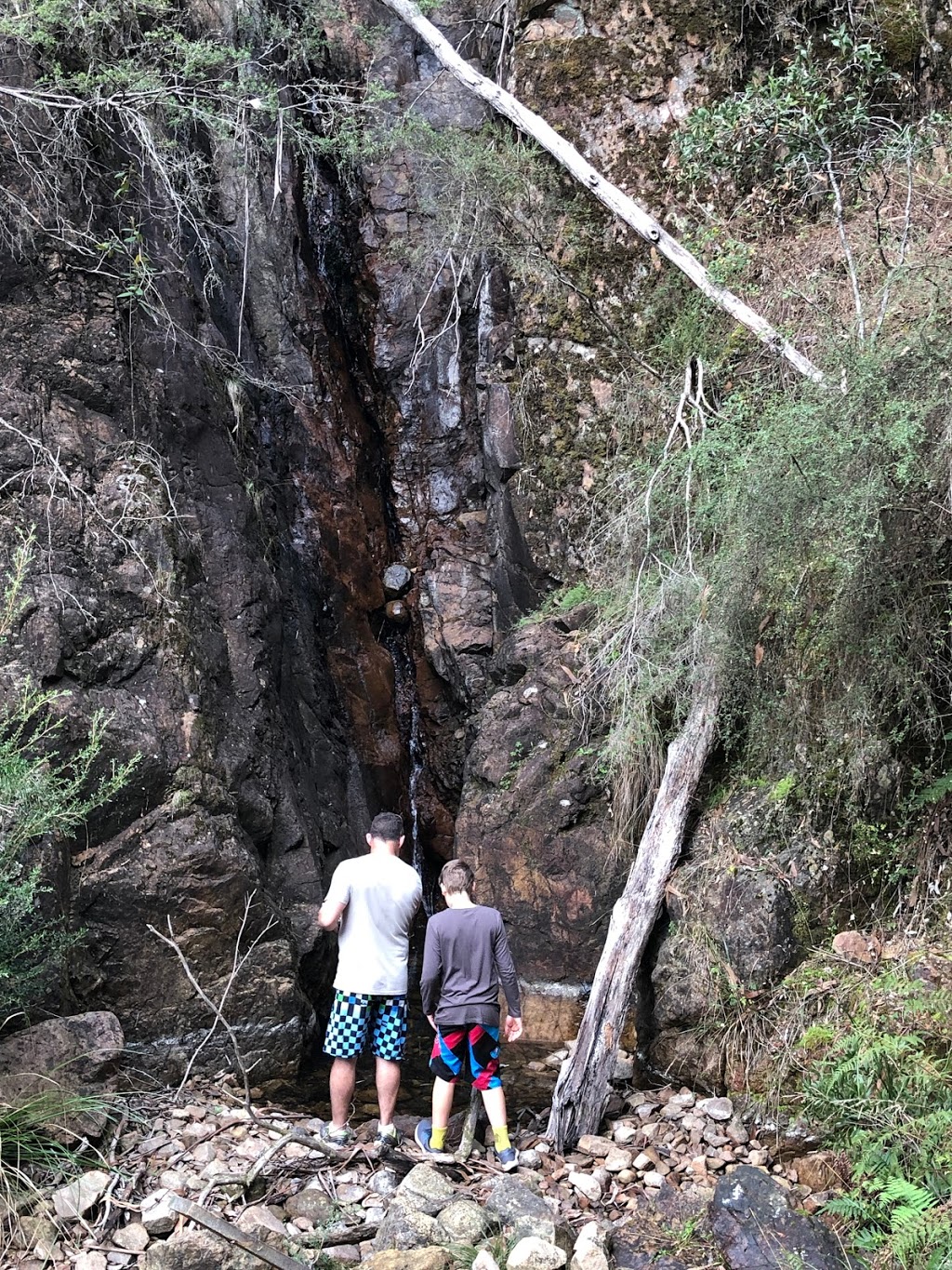 Cudgewa Bluff Falls | park | 385 Bluff Falls Rd, Cudgewa VIC 3705, Australia