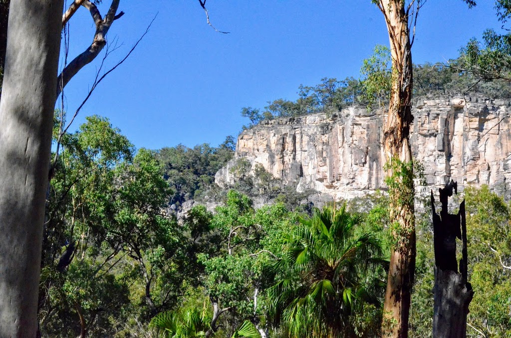 Carnarvon National Park | Nandowrie QLD 4722, Australia