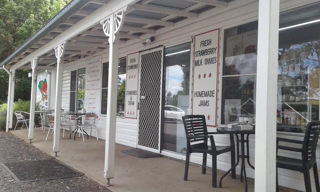 The Super Strawberry | cafe | 9922 New England Hwy, Glen Innes NSW 2370, Australia | 0267321210 OR +61 2 6732 1210