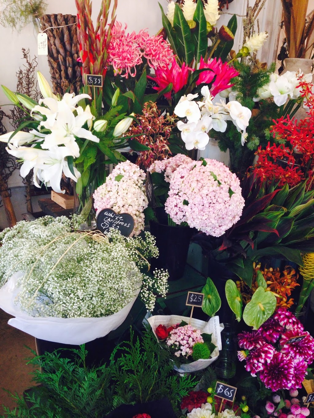 MOSS NEST | florist | 69 Queen St, Berry NSW 2535, Australia | 0244642203 OR +61 2 4464 2203