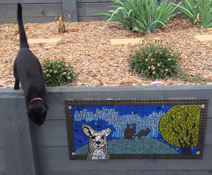 19 Mosaics | 19 Brushtail Dr, Tamworth NSW 2340, Australia | Phone: 0413 468 062