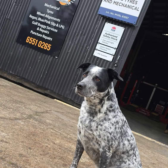 Leighs Tyres and Mechanical | 1325 Gloucester Rd, Wingham NSW 2429, Australia | Phone: (02) 6551 0265