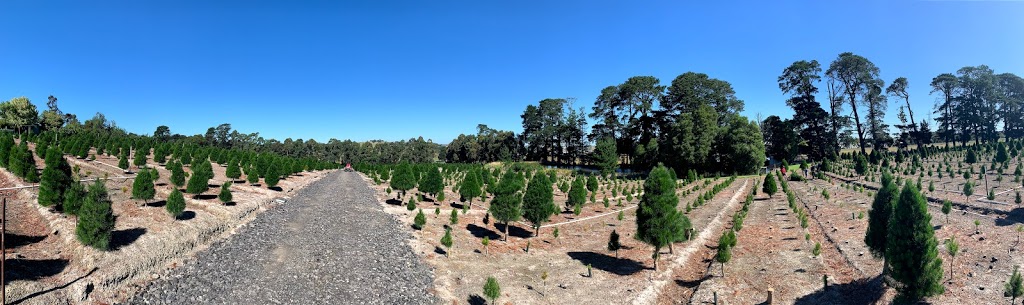 Dandenong Christmas Tree Farm | 336 Brown Rd, Officer VIC 3809, Australia | Phone: 1300 655 652