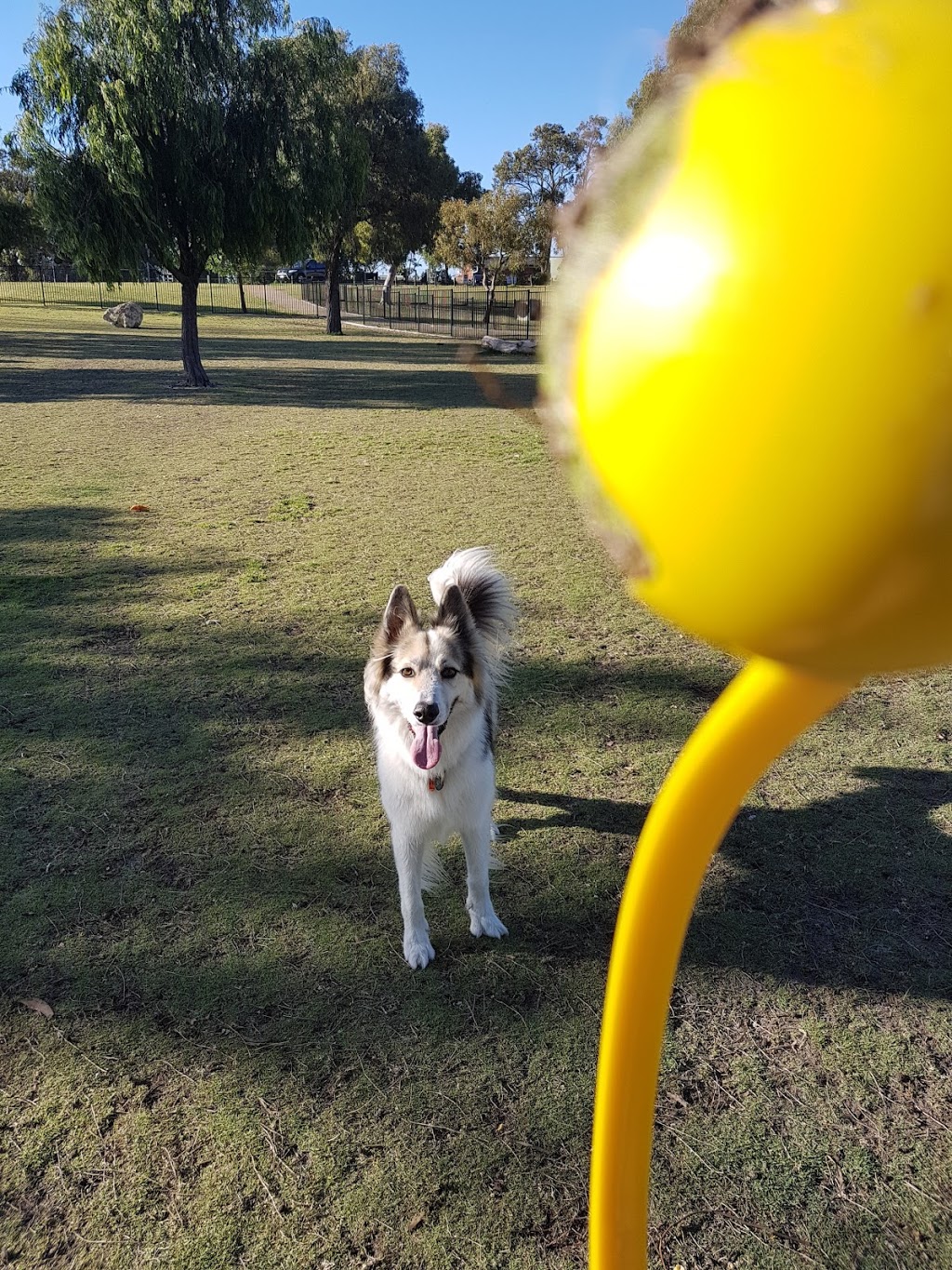 Jan Hammond Reserve | Bartram Rd & Baningan Ave, Success WA 6164, Australia