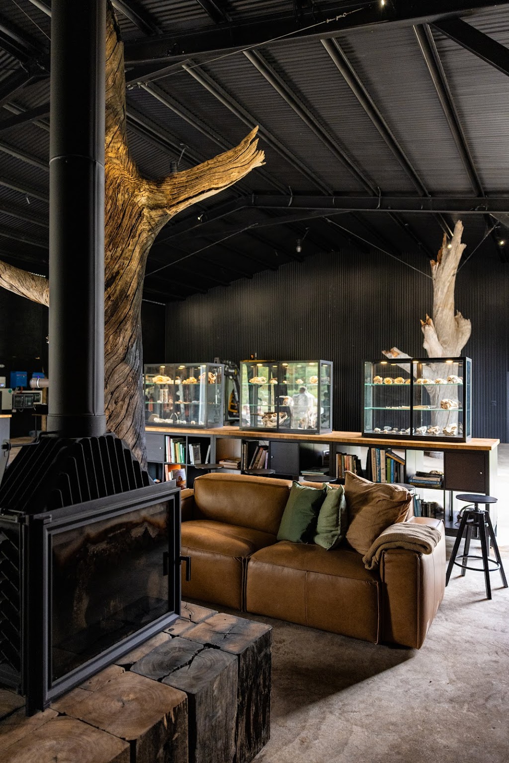 Quoll Headquarters | 662 Talmoi Rd, Boonoo Boonoo NSW 2372, Australia | Phone: 0407 290 971