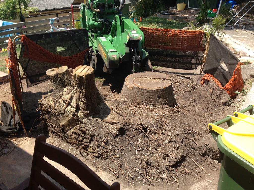 Stump Removal Sydney - Stump Grinding | 13 Antares Pl, Cranebrook NSW 2749, Australia | Phone: 0402 887 920