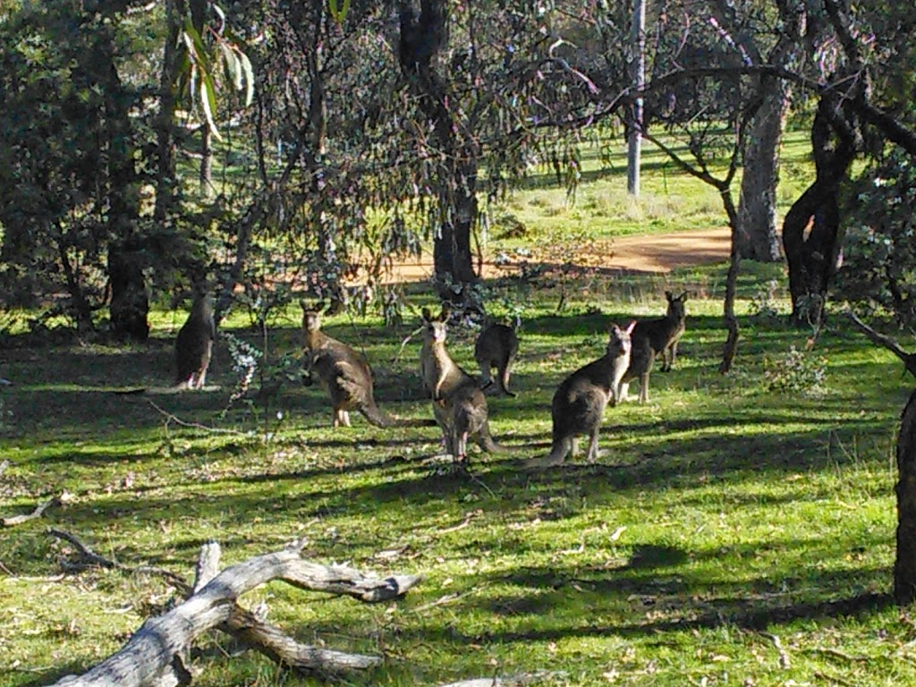 Remembrance Nature Park | park | Campbell ACT 2612, Australia