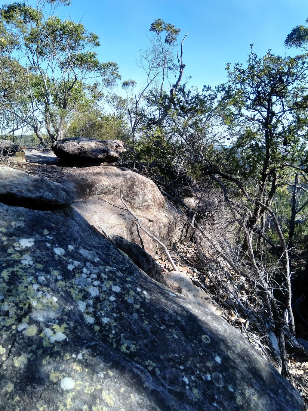 Point Loop Muogamarra Reserve | park | Point Loop, Cowan NSW 2081, Australia
