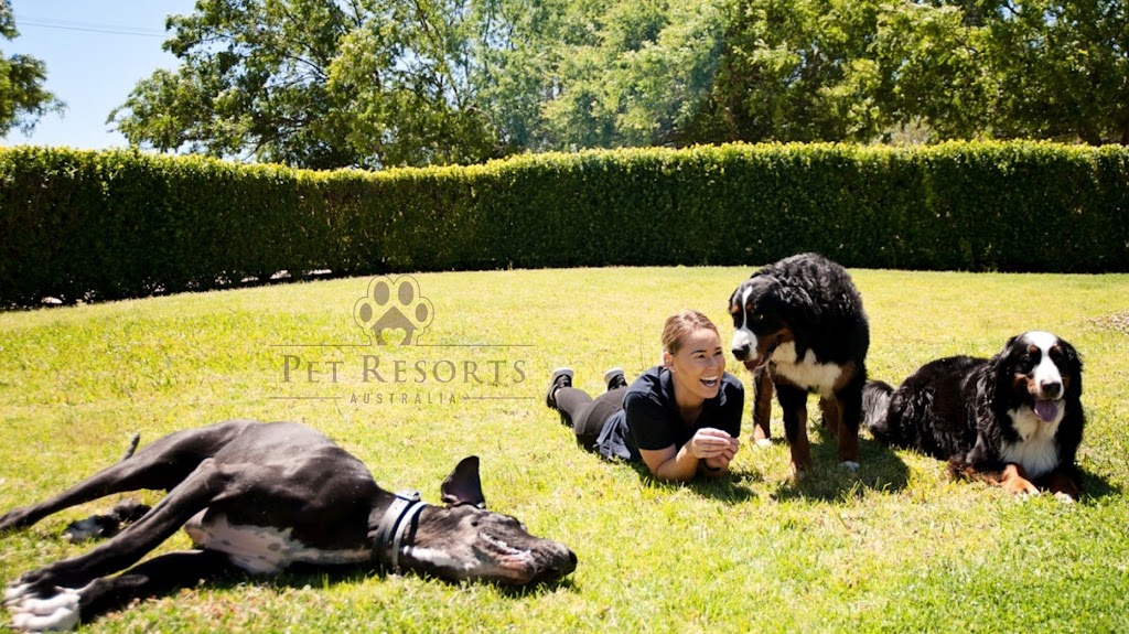 Pet Resorts of Australia | 171 Serpentine Rd, Terrigal NSW 2260, Australia | Phone: (02) 4367 1200