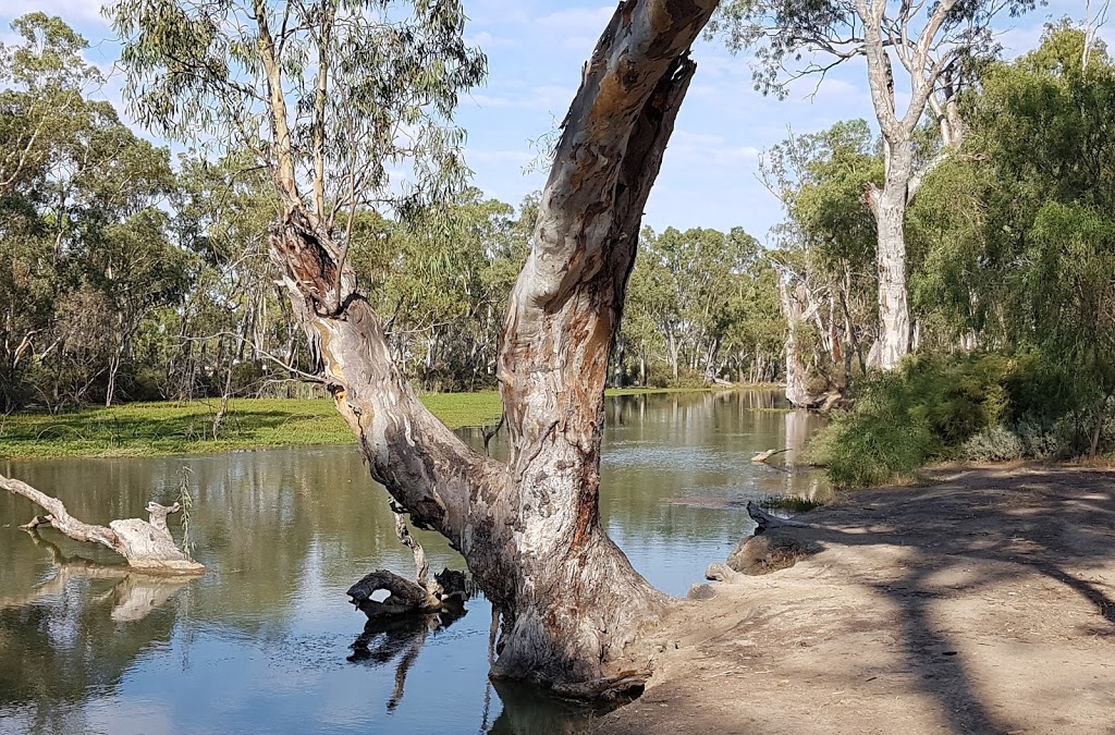 Cohuna Swimming Pool | Tennis Rd, Cohuna VIC 3568, Australia | Phone: (03) 5456 2726