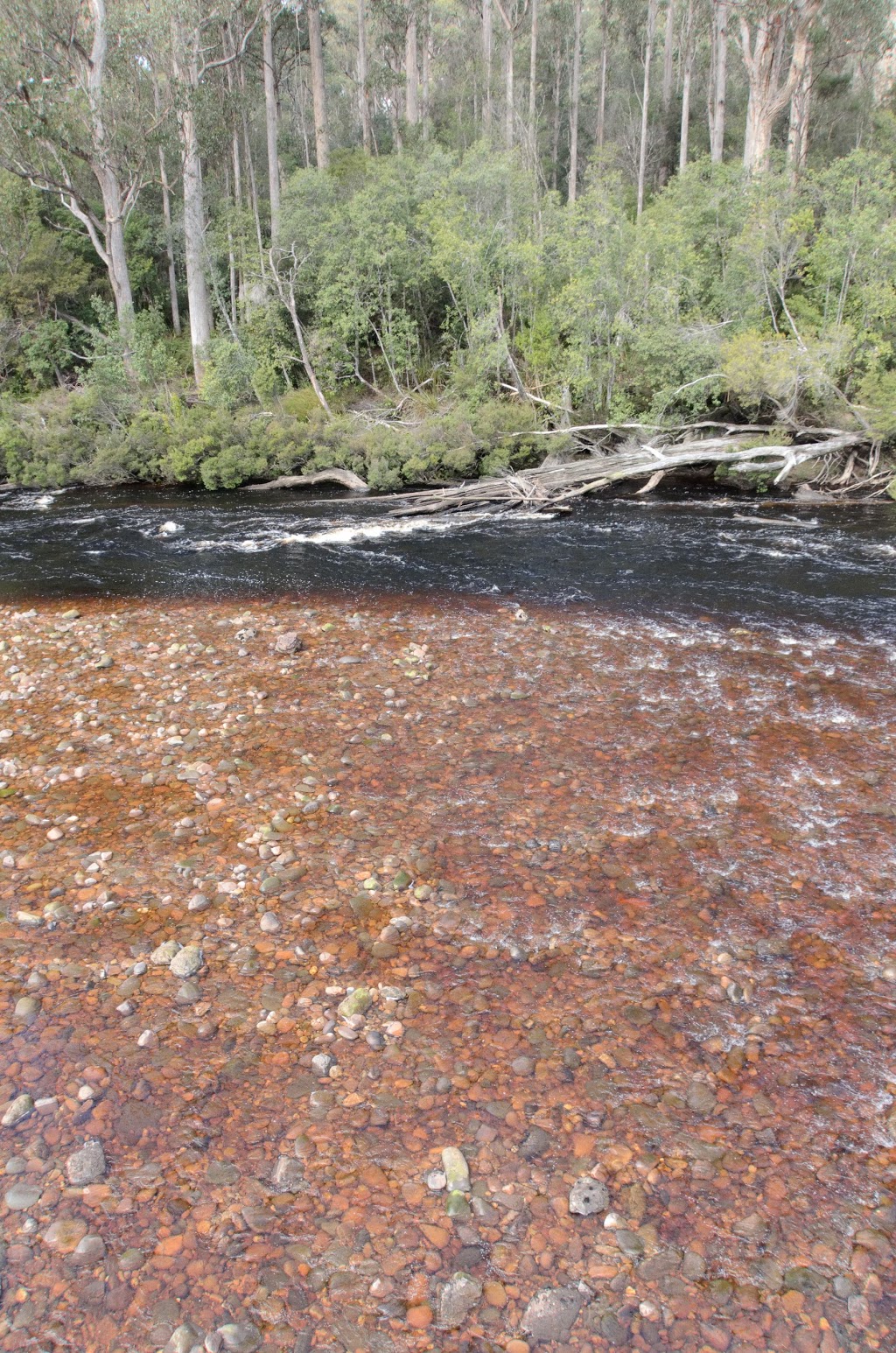 Tahune Forest Reserve | Southwest TAS 7139, Australia