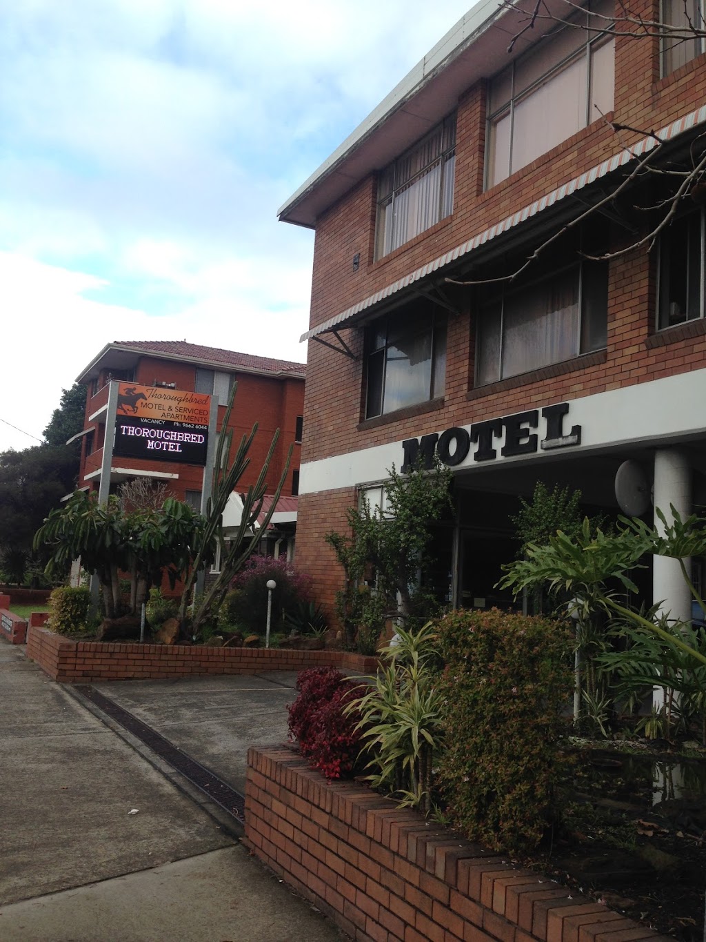 Thoroughbred Motel | lodging | 11 Alison Rd, Kensington NSW 2033, Australia | 0296626044 OR +61 2 9662 6044