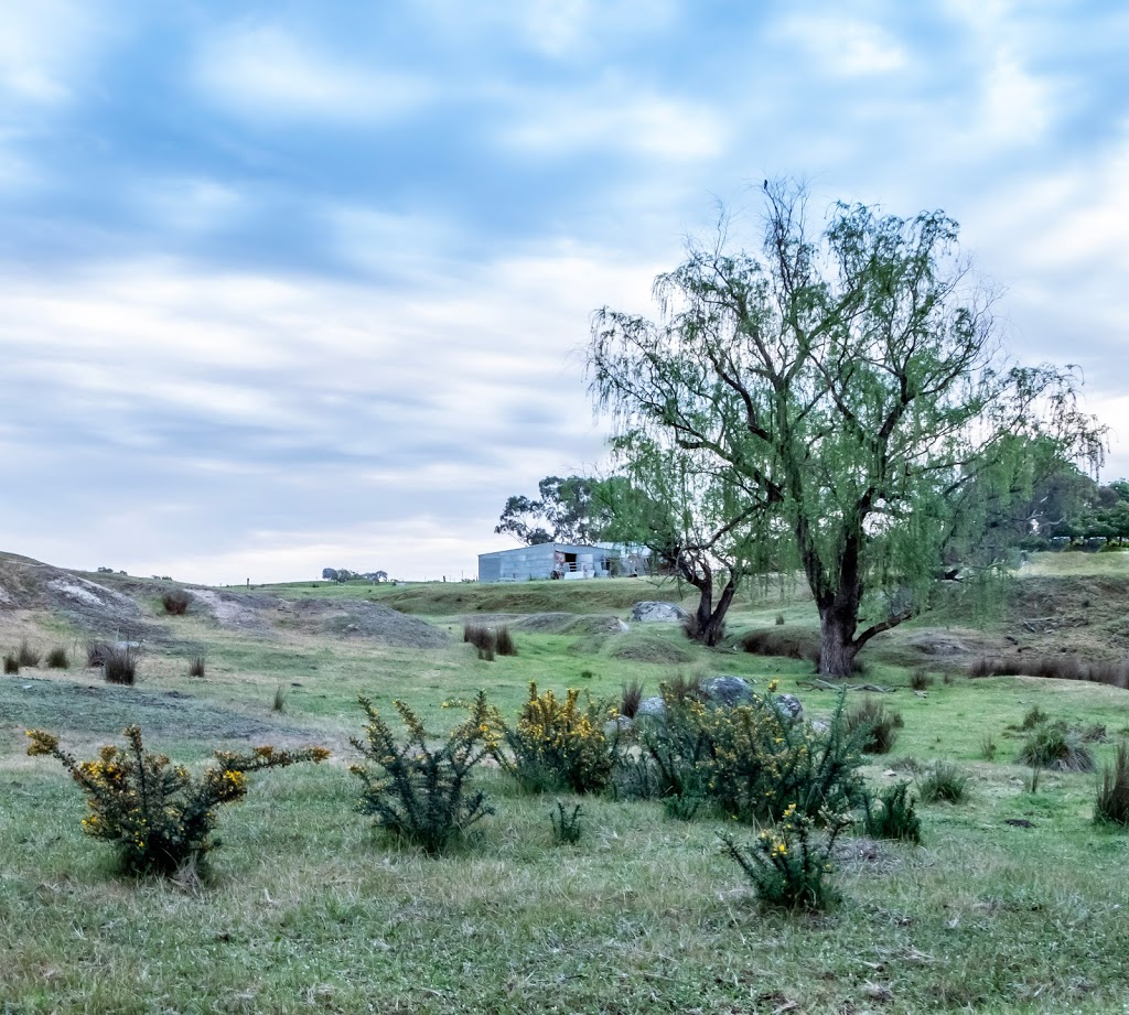 Spring Creek Walking Track | Beechworth VIC 3747, Australia