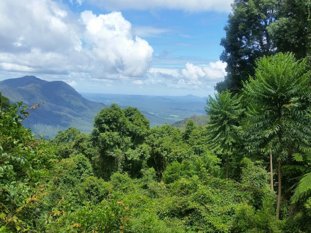 Dorrigo National Park | park | Lyrebird Link, Dorrigo Mountain NSW 2453, Australia | 0266572309 OR +61 2 6657 2309