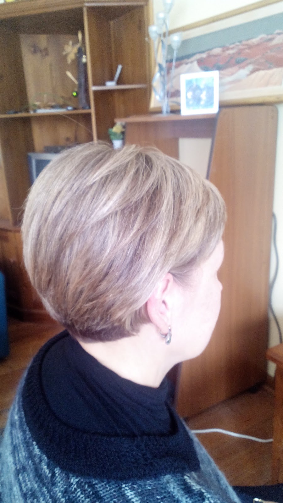 Hairdresser Tania at Snega Beauty | hair care | 693 Marion Rd, Ascot Park SA 5043, Australia | 0481366905 OR +61 481 366 905
