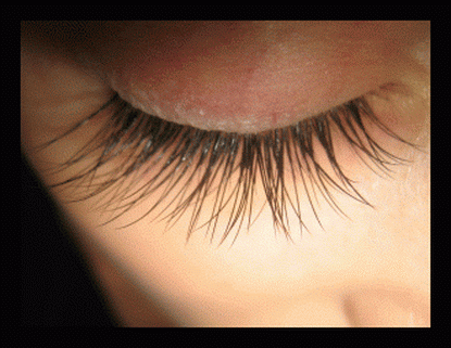 Glamour Lashes & Beauty | hair care | 7/306 Terrigal Dr, Terrigal NSW 2260, Australia | 0416571533 OR +61 416 571 533
