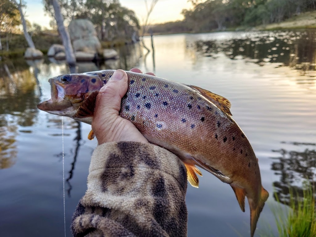 Monaro Fly Fishing Lodging and Guiding Service | 158 Jarake Rd, Greenlands NSW 2631, Australia | Phone: 0407 518 380