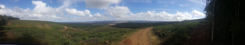 Mount Binga National Park | Mount Binga QLD 4306, Australia